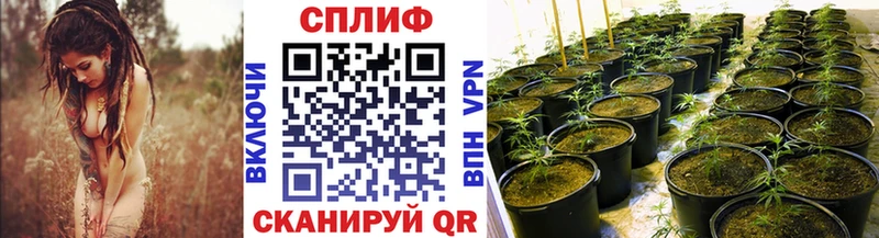 Где купить Мытищи А ПВП  Меф  ГАШ  АМФ  КОКАИН 