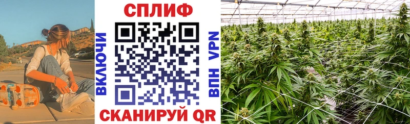 Бошки Шишки SATIVA & INDICA  наркошоп  KRAKEN ссылки  Мытищи 